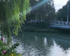 酸菜鱼（又酸又菜又多余）