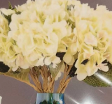 全糖💔⃟⸜去冰໊