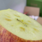 时时暴富小铃铛