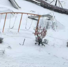 耳朵只想听彩虹声